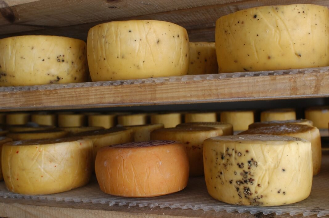 El queso de Tafí del Valle obtuvo la Indicación Geográfica y es único en Argentina El queso de Tafí del Valle obtuvo la Indicación Geográfica y es único en Argentina